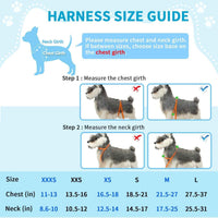 Dog Car Harness & Seat Belt Set — 2-in-1 Safety Buckle for Travel