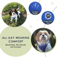 Dog Car Harness & Seat Belt Set — 2-in-1 Safety Buckle for Travel