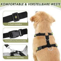 Dog Car Harness & Seat Belt Set — 2-in-1 Safety Buckle for Travel