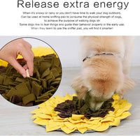 Snuffle Mat for Dogs — Foraging Puzzle Toy for Mental Stimulation & Slow Feeding