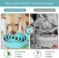 Large Slow Feeder Bowl for Dogs — Non-Slip Maze Design for Healthy Eating