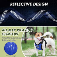 Dog Car Harness & Seat Belt Set — 2-in-1 Safety Buckle for Travel