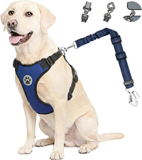 Dog Car Harness & Seat Belt Set — 2-in-1 Safety Buckle for Travel