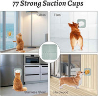 Lick Mat for Dogs & Cats (2-Pack) — Calm, Enrichment & Slow Feeding